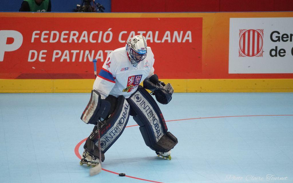 H quart Tchèques vs Slovaques c  (36)