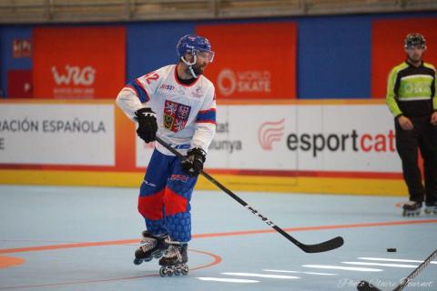 H quart Tchèques vs Slovaques c  (108)