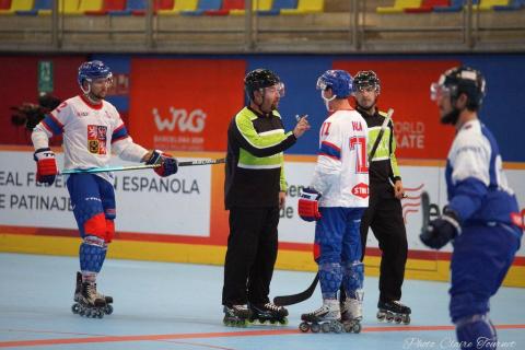 H quart Tchèques vs Slovaques c  (111)