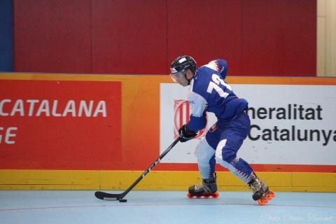 H quart Tchèques vs Slovaques c  (114)