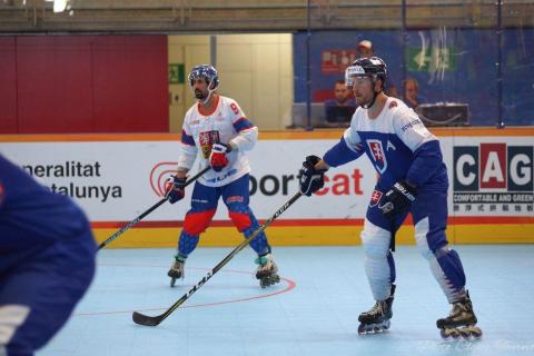 H quart Tchèques vs Slovaques c  (150)