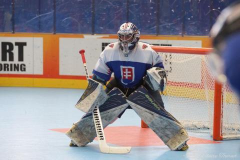 H quart Tchèques vs Slovaques c  (166)