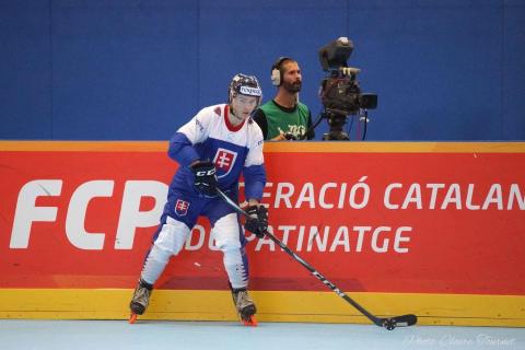 H quart Tchèques vs Slovaques c  (177)