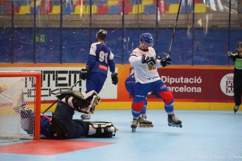 H quart Tchèques vs Slovaques c  (216)