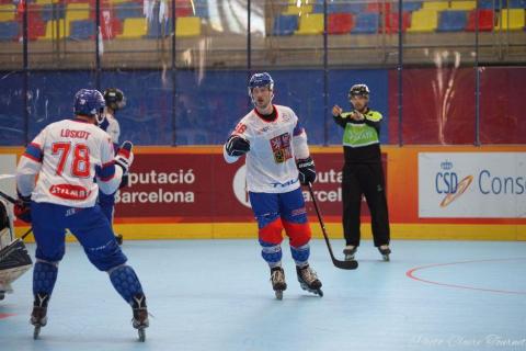 H quart Tchèques vs Slovaques c  (217)