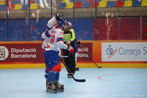 H quart Tchèques vs Slovaques c  (218)