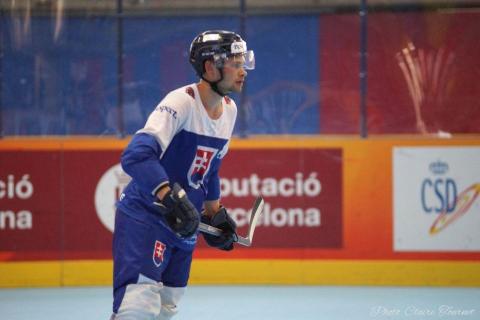 H quart Tchèques vs Slovaques c  (224)
