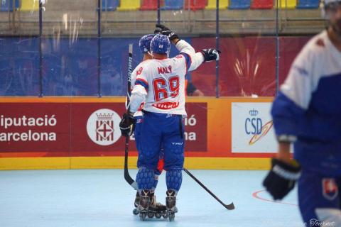 H quart Tchèques vs Slovaques c  (231)