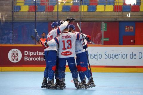 H quart Tchèques vs Slovaques c  (233)