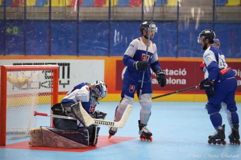 H quart Tchèques vs Slovaques c  (236)
