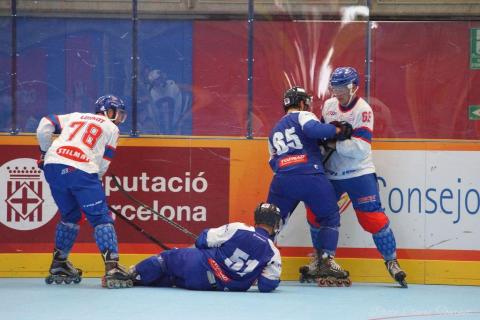 H quart Tchèques vs Slovaques c  (248)