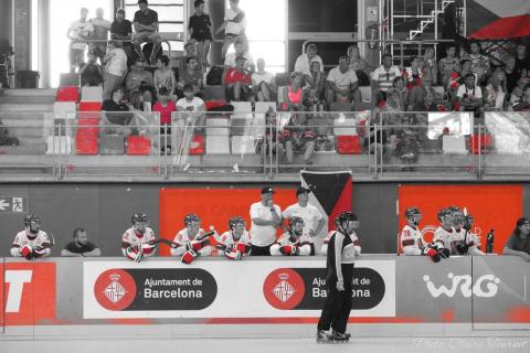 H quart Tchèques vs Slovaques c  (269)