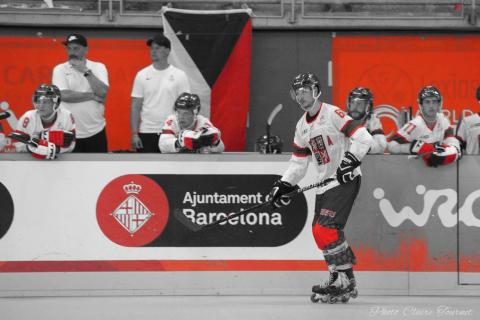 H quart Tchèques vs Slovaques c  (271)