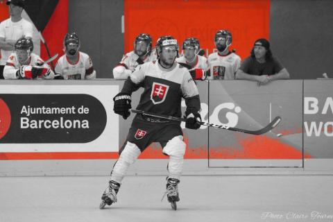 H quart Tchèques vs Slovaques c  (275)