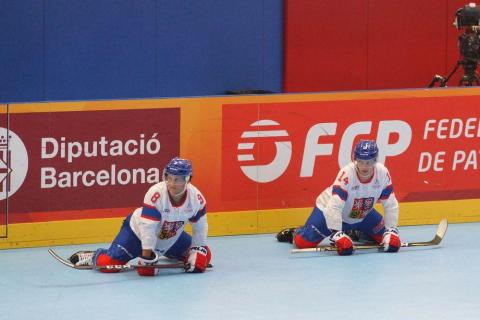H quart Tchèques vs Slovaques c  (29)