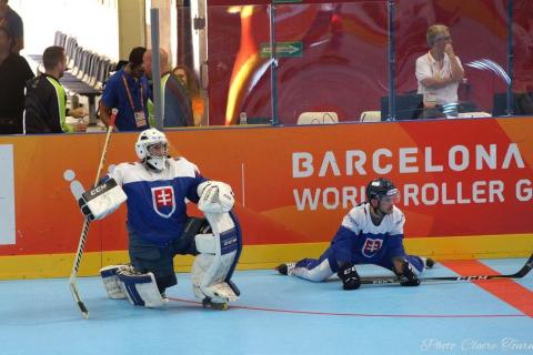 H quart Tchèques vs Slovaques c  (30)