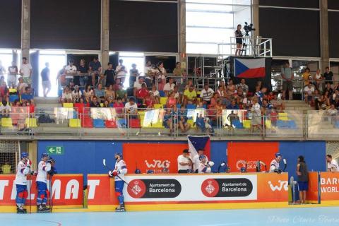 H quart Tchèques vs Slovaques c  (308)