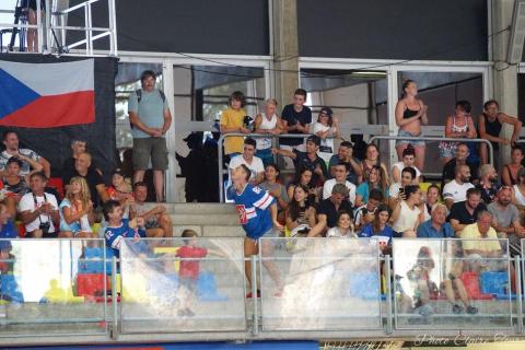 H quart Tchèques vs Slovaques c  (312)