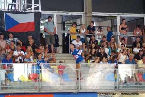 H quart Tchèques vs Slovaques c  (313)
