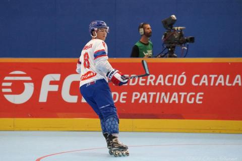 H quart Tchèques vs Slovaques c  (321)