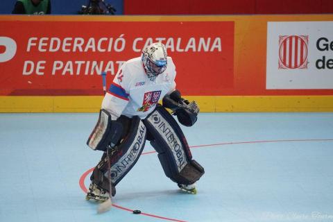 H quart Tchèques vs Slovaques c  (36)