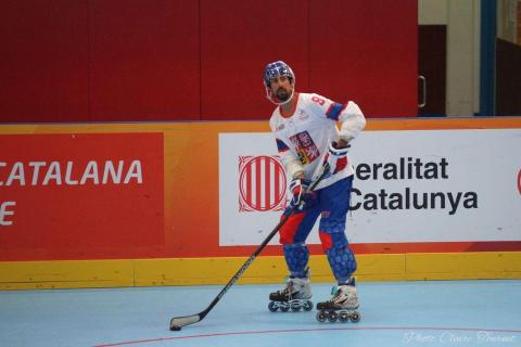 H quart Tchèques vs Slovaques c  (44)