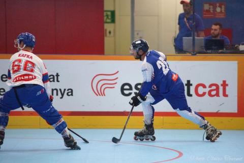 H quart Tchèques vs Slovaques c  (91)