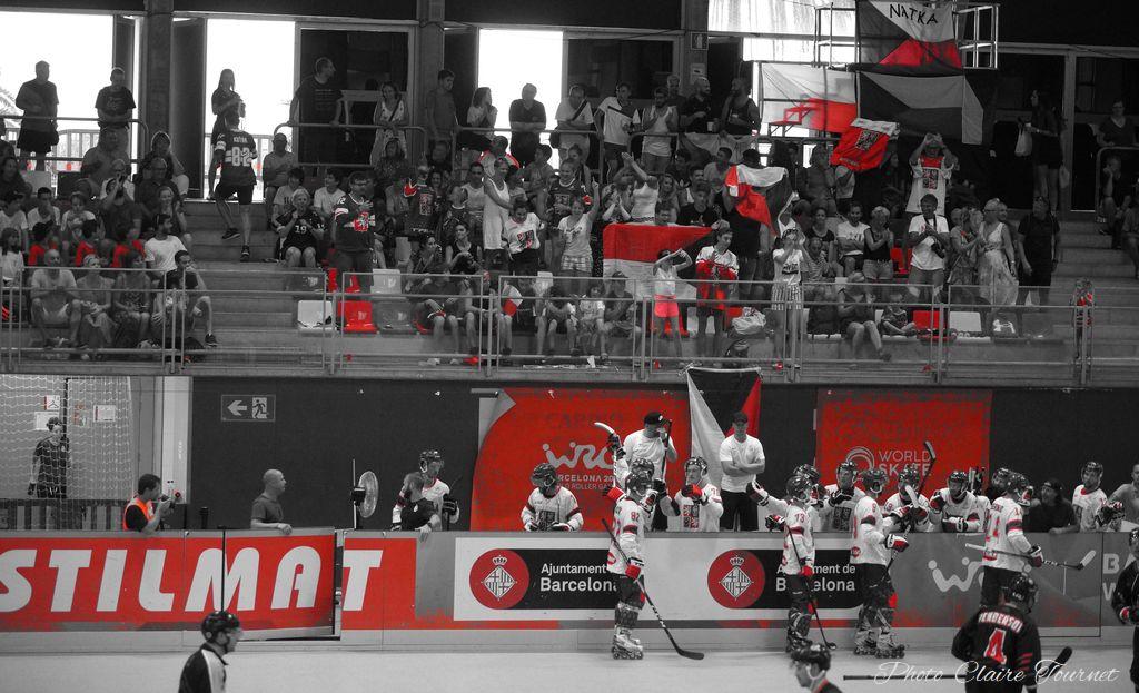 H demi-finale Rép Tchèque vs Canada c  (83)