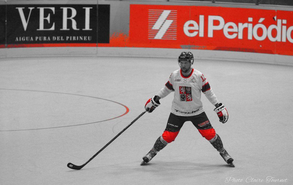 H demi-finale Rép Tchèque vs Canada c  (87)