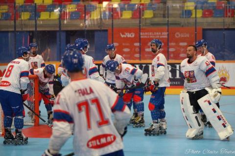 H demi-finale Rép Tchèque vs Canada c  (31)