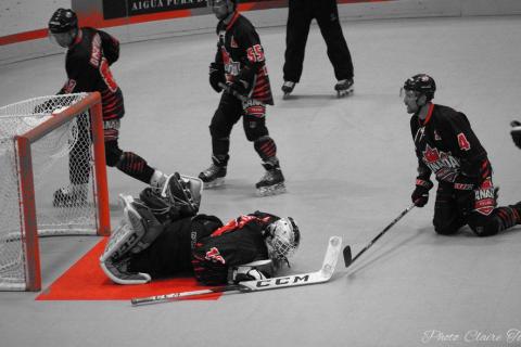 H demi-finale Rép Tchèque vs Canada c  (78)