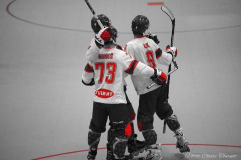 H demi-finale Rép Tchèque vs Canada c  (80)